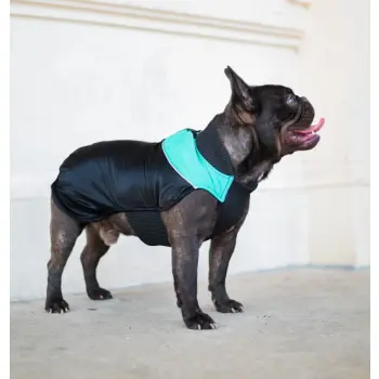 Chaba Ubranko regulowane Wear Magnifique 3XL zielone