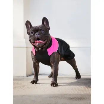 Chaba Ubranko regulowane Wear Magnifique 4XL różowe