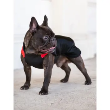 Chaba Ubranko regulowane Wear Magnifique XS czerwone