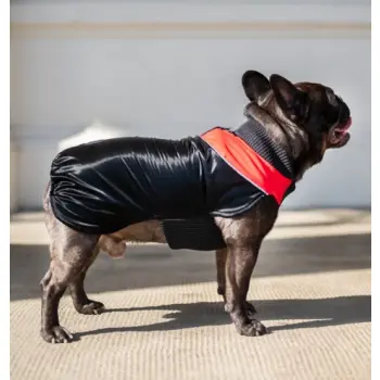 Chaba Ubranko regulowane Wear Magnifique 2XL czerwone