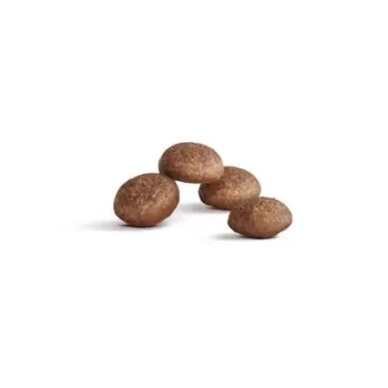 Royal Canin Ageing +11 karma sucha dla kotów dojrzałych 400g