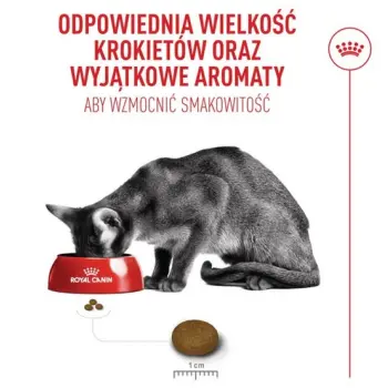 Royal Canin Fussy Exigent karma sucha dla kotów dorosłych, wybrednych 2kg