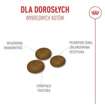 Royal Canin Fussy Exigent karma sucha dla kotów dorosłych, wybrednych 400g