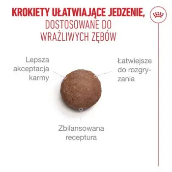 Royal Canin Ageing +15 karma sucha dla kotów dojrzałych 2kg