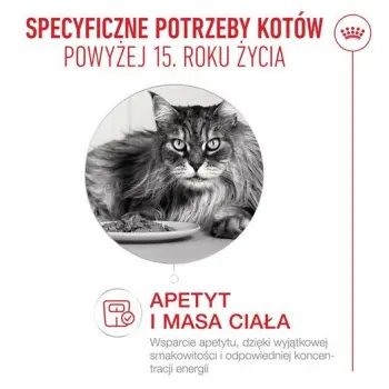 Royal Canin Ageing +15 karma sucha dla kotów dojrzałych 4kg