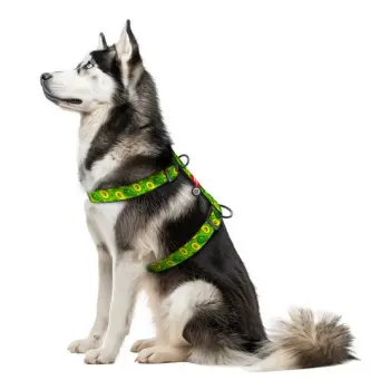 Collar WauDog Nylon Szelki nylonowe anatomiczne w kształcie litery H, z QR-paszportem, plastikowy fastex, wzór AWOKADO, rozmiar XL 35mm