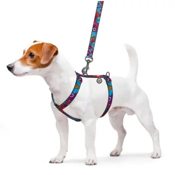 Collar WauDog Nylon Szelki nylonowe anatomiczne w kształcie litery H, z QR-paszportem, plastikowy fastex, wzór LATO, rozmiar L 25mm