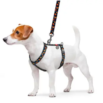 Collar WauDog Nylon Szelki nylonowe anatomiczne w kształcie litery H, z QR-paszportem, plastikowy fastex, wzór POMARAŃCZE, rozmiar M 20mm