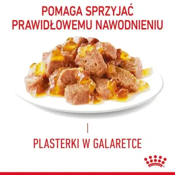 Royal Canin Intense Beauty w galaretce karma mokra dla kotów dorosłych, zdrowa skóra, piękna sierść saszetka 85g