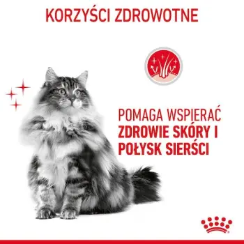 Royal Canin Intense Beauty w galaretce karma mokra dla kotów dorosłych, zdrowa skóra, piękna sierść saszetka 85g