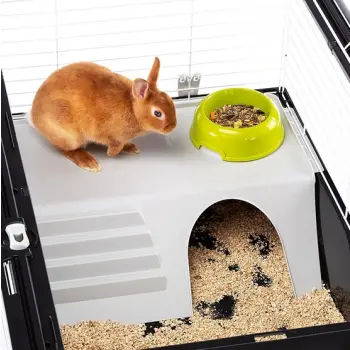 Ferplast Klatka Casita 100 czarna [57066070] ^^