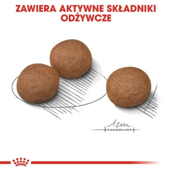 Royal Canin Medium Digestive Care karma sucha dla psów dorosłych, ras średnich o wrażliwym przewodzie pokarmowym 3kg