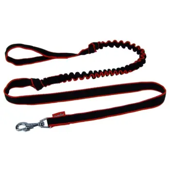 Champion Smycz taśma amortyzowana 2,5 [TSA]