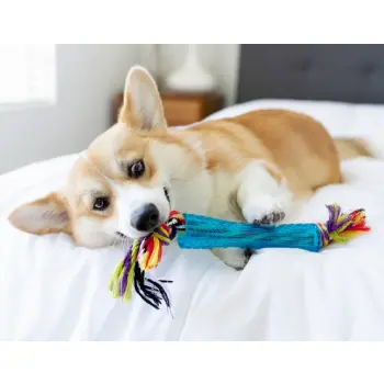 Petstages Orka Rurka z supłami PS220