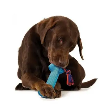 Petstages Orka Kość z sznurem PS230