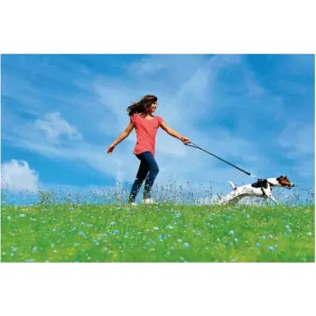 Zolux Szelki bezpieczeństwa dla psów rozmiar M [403325]