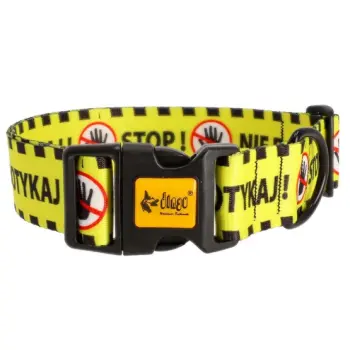 Dingo Obroża regulowana City - Nie Dotykaj 4,0cm/75cm