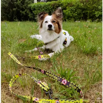 Dingo Smycz przepinana City - Nie Dotykaj 2x220cm