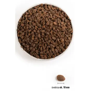 Orijen Regional Red Cat 5,4kg