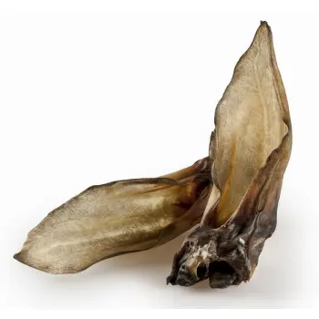 Balto Ucho sarny 5szt