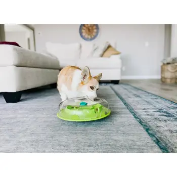 Nina Ottosson Wobble Bowl - gra edukacyjna [69344]