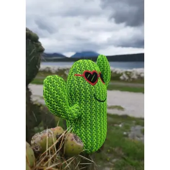 Dingo Zabawka dla psa - Kaktus Fernando 16cm