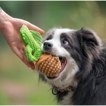 Dingo Zabawka dla psa - Kaktus Dolores 19cm