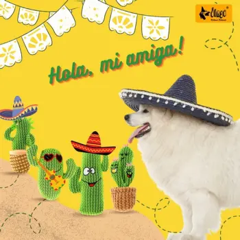 Dingo Zabawka dla psa - Kaktus Dolores 19cm