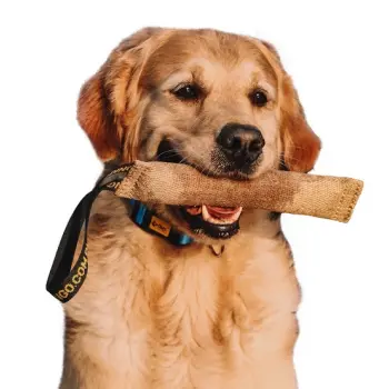 Dingo Zabawka dla psa - Szarpak z juty z uchwytem 28/4cm