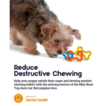 Petstages Mini Gumowe kosteczki PS243