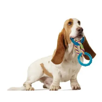 Petstages Mini Orka 3 okręgi PS239