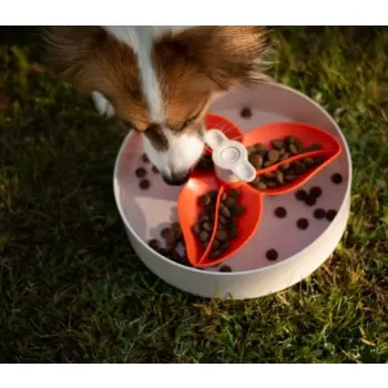 Spin Interaktywna miska Flower/Spin biało-pomarańczowa