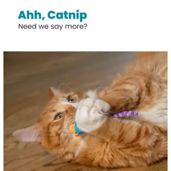 Petstages Myszki bliźniaczki z kocimiętką PS327