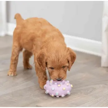 Trixie Mini koło 8cm [35612]