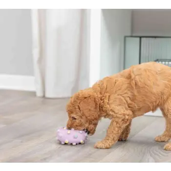 Trixie Mini koło 8cm [35612]