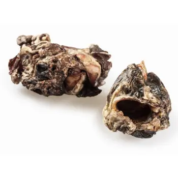 Balto Krtań wołowa 1szt