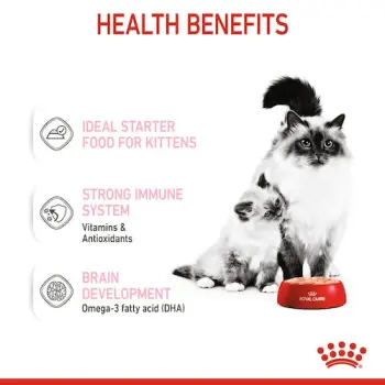 Royal Canin Mother & Babycat Instinctive Mousse karma mokra - mus dla kociąt i kotek karmiących puszka 195g