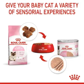 Royal Canin Mother & Babycat Instinctive Mousse karma mokra - mus dla kociąt i kotek karmiących puszka 195g
