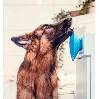 LickiMat Splash miska z przyssawką turkusowa