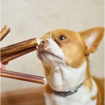 4DOGS Gryzak z penisa wołowego S