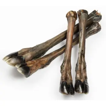 Balto Racica jelenia 2szt