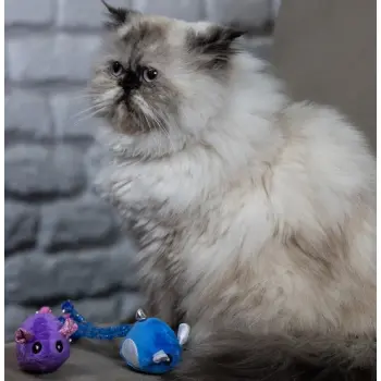 Dingo Zabawka dla kota - Myszki Tota i Upek 2szt