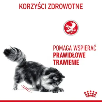Royal Canin Digest Sensitive karma mokra w sosie dla kotów dorosłych, wrażliwy przewód pokarmowy saszetka 85g
