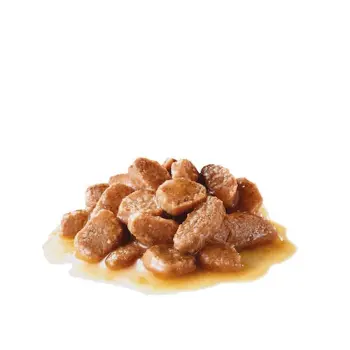 Royal Canin Digest Sensitive karma mokra w sosie dla kotów dorosłych, wrażliwy przewód pokarmowy saszetka 85g