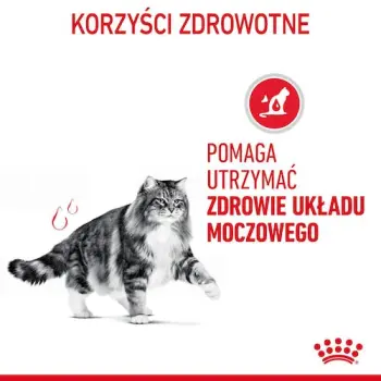 Royal Canin Urinary Care sosie karma mokra w sosie dla kotów dorosłych, ochrona dolnych dróg moczowych saszetka 85g