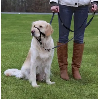 Trixie Uprząż Top Trainer S 22cm [13002]