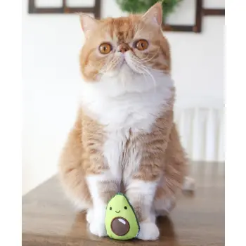 Petstages Lil' Avocato dla kota [PS67840]