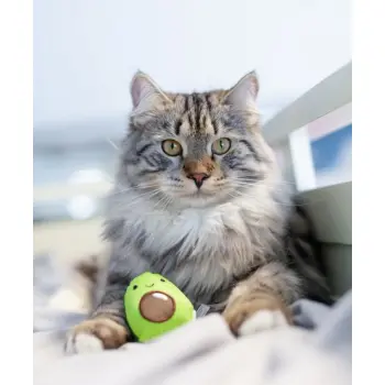 Petstages Lil' Avocato dla kota [PS67840]