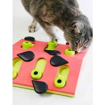 Nina Ottosson Cat Melon Madness Puzzle & Play - gra edukacyjna dla kotów
