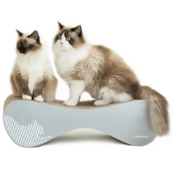 MyKotty Drapak Vigo siwy